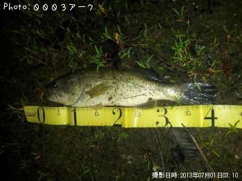 �֥�å��Х�