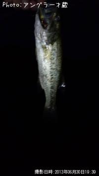 �֥�å��Х�