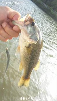 �֥�å��Х�