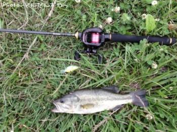 ¥Ö¥é¥Ã¥¯¥Ð¥¹