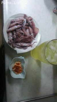 ��ꥤ�����ҥ���