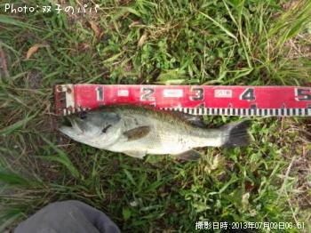 ¥Ö¥é¥Ã¥¯¥Ð¥¹