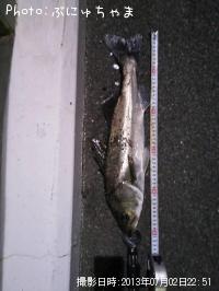 �����Х��ʾС�