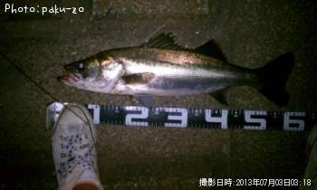 �����Х�