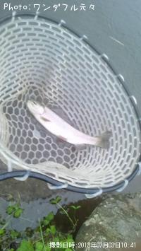 �쥤��ܡ��ȥ饦��