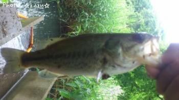 �֥�å��Х�