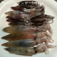 �ҥ�������ꥤ��