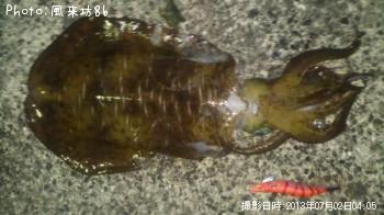 �����ꥤ��