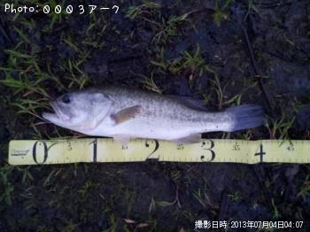 ¥Ö¥é¥Ã¥¯¥Ð¥¹