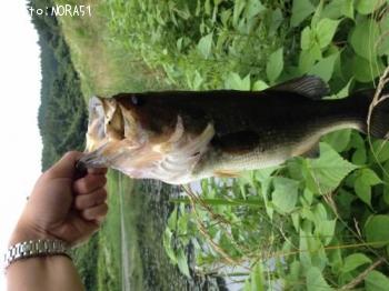 ¥Ö¥é¥Ã¥¯¥Ð¥¹