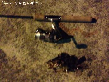 ¥¿¥±¥Î¥³¥á¥Ð¥ë