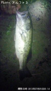 �֥�å��Х�