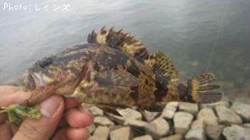 ¥¿¥±¥Î¥³¥á¥Ð¥ë