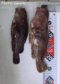 �����Υ���Х�