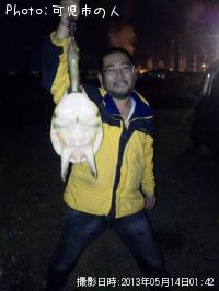 ���äݤ�