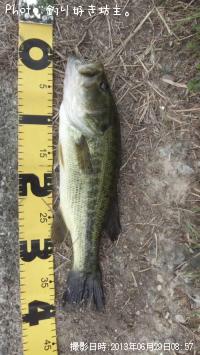 �֥�å��Х�