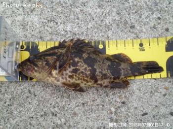 �����Υ���Х�