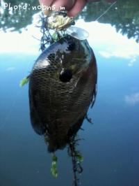 �֥롼����