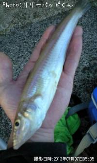 �ѡ���ԥ󥯤ε��ؿ͡�������Ͽ�á�