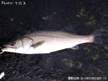 �����Х�