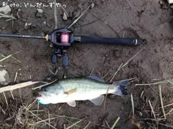 �֥�å��Х�