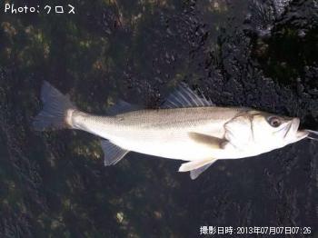 �����Х�