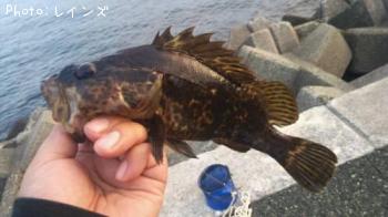 �����Υ���Х�