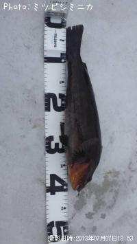 �����ʥ�