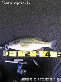 �֥�å��Х�