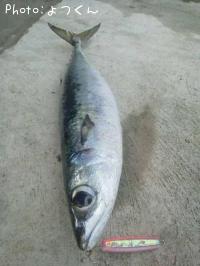 ���ޥ���