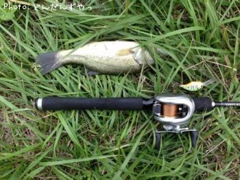 �֥�å��Х�