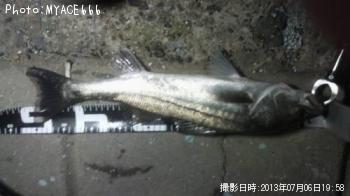 �����Х�