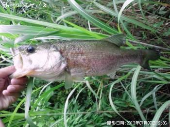 �֥�å��Х�