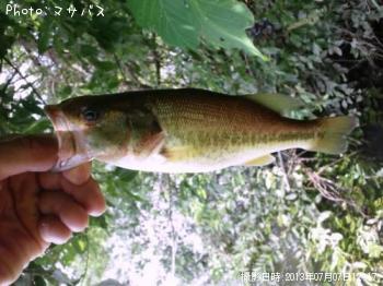 �֥�å��Х�