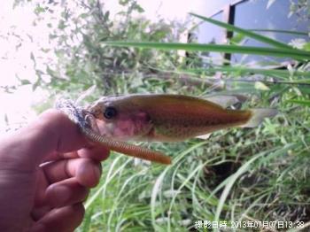 �֥�å��Х�