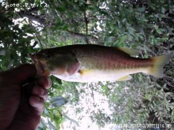 �֥�å��Х�