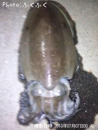 ��󥴥�����