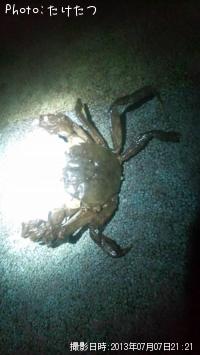 �⥺������