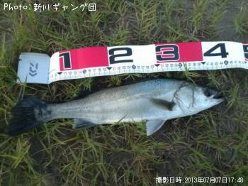 �����Х�