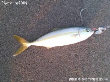 �����å�