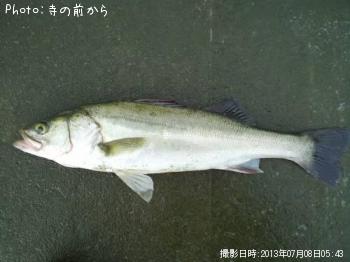 �����Х�