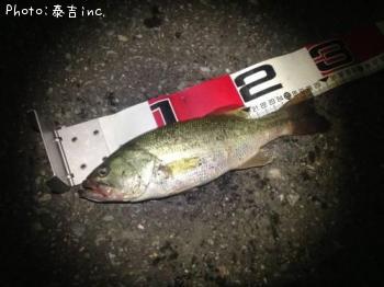 �֥�å��Х�