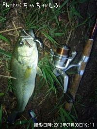 ¥é¡¼¥¸¥Þ¥¦¥¹¥Ð¥¹