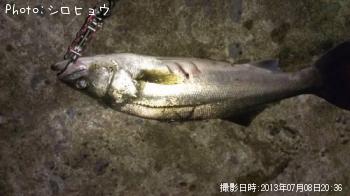 �����Х�