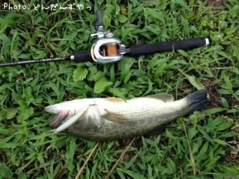 �֥�å��Х�