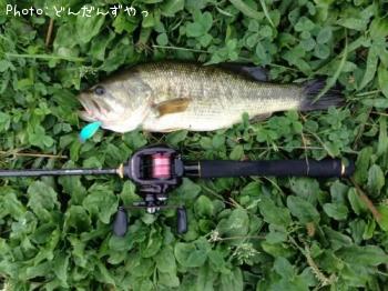 ¥Ö¥é¥Ã¥¯¥Ð¥¹