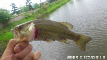 ¥Ö¥é¥Ã¥¯¥Ð¥¹