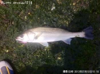 �����Х�