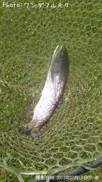 ¥ì¥¤¥ó¥Ü¡¼¥È¥é¥¦¥È