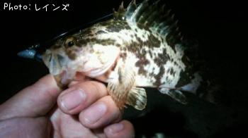 �������������Υ�